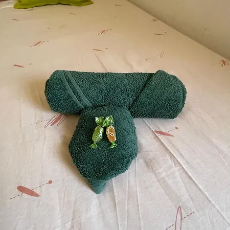 Preciosa En A 5 Min Del Centro Histórico Hostal *